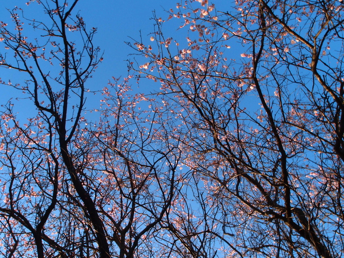 a0260570_1581318.jpg