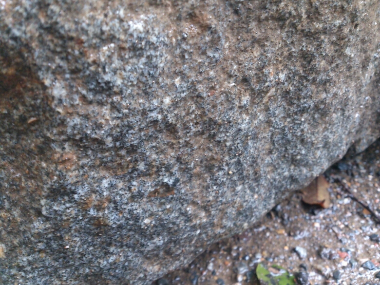 f0142070_1031022.jpg