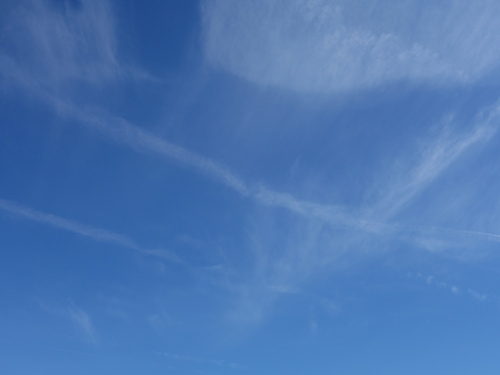 c0265773_16383017.jpg