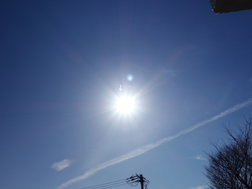 c0265773_1638896.jpg