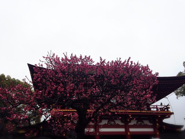 c0238374_945057.jpg