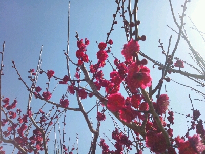 f0050287_16103653.jpg