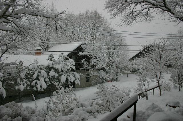 a0146295_13351314.jpg