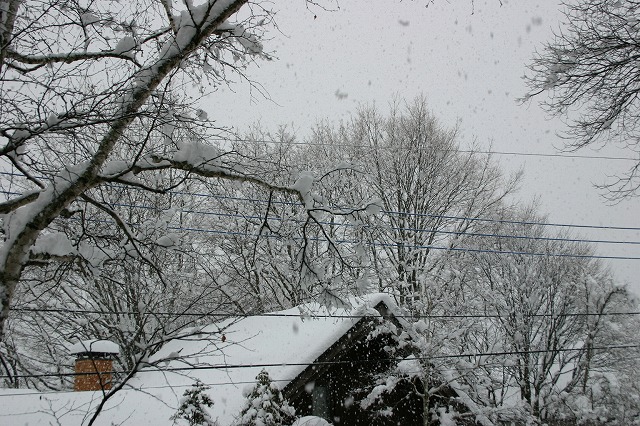 a0146295_13352821.jpg