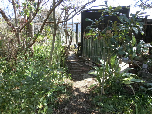 c0156104_215447.jpg