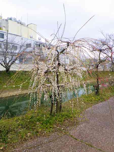 b0000209_211458.jpg
