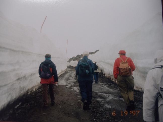 c0239412_8484759.jpg