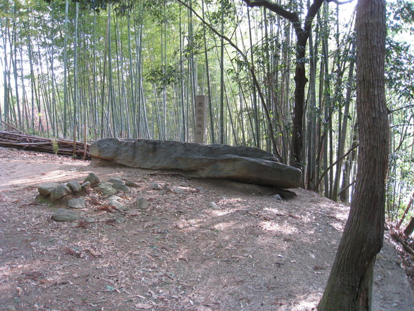 d0287413_13252958.jpg