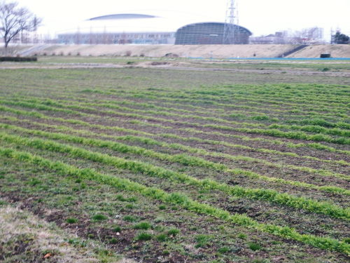 c0118715_9465730.jpg