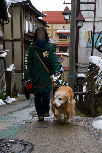 年末年始の白馬旅行　～ 年末編 ～_c0216518_9324599.jpg