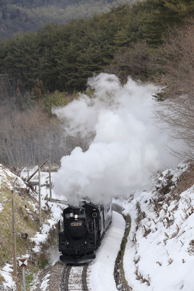 除雪から始まった一日_c0111229_17583134.jpg