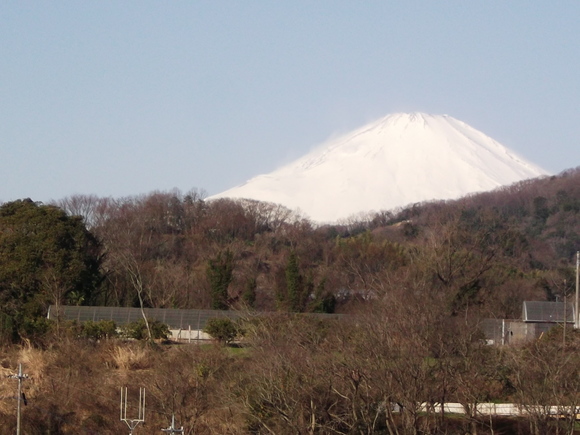 ジャガイモの植え付け....逆さ植えにもチャレンジ！_b0137932_1619561.jpg