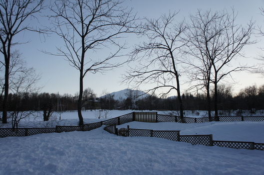 f0128542_2204783.jpg