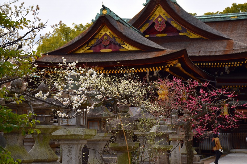 e0237645_2343488.jpg