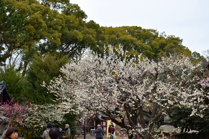 e0237645_2381100.jpg