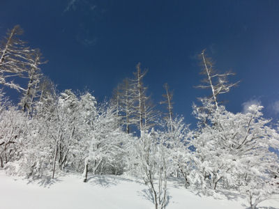 f0019247_23513153.jpg