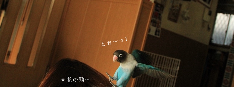 c0145250_112076.jpg
