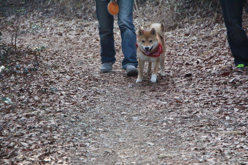 f0245650_90163.jpg