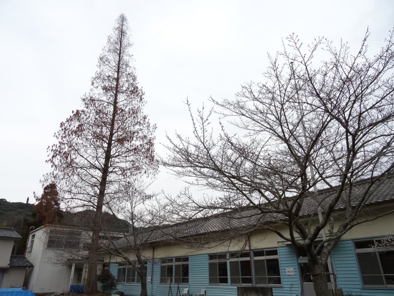 c0108460_20375468.jpg
