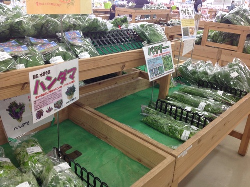 沖縄食文化と硬水のおはなし その弐_b0153663_19413811.jpg