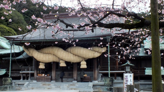 寒緋桜{宮地嶽神社）_b0214473_22373242.jpg