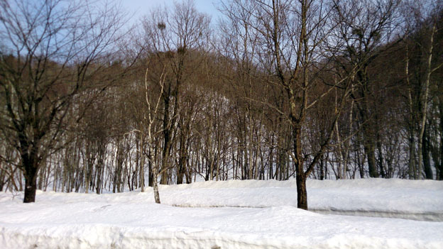f0084573_13500824.jpg
