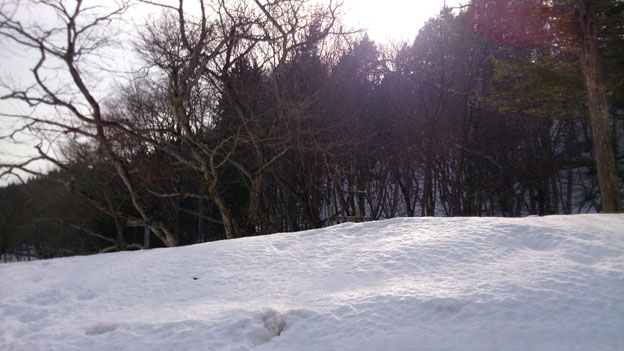 f0084573_13502638.jpg