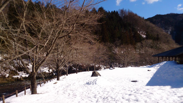 f0084573_13513854.jpg