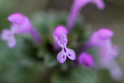 c0152779_1256745.jpg