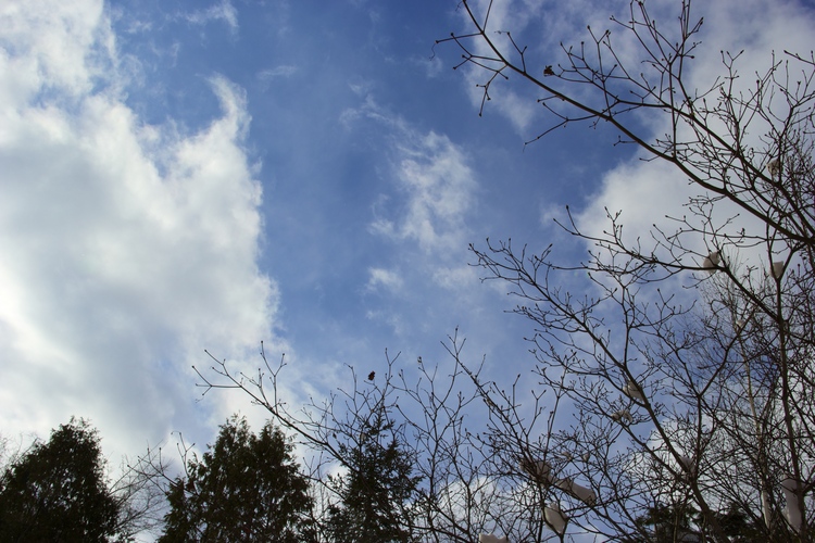 e0068480_2140933.jpg