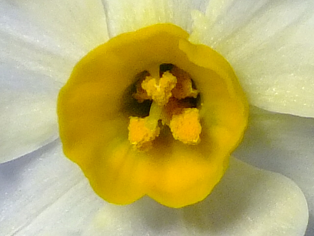 e0145782_1733744.jpg