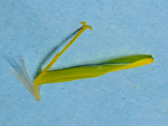 e0145782_17402347.jpg