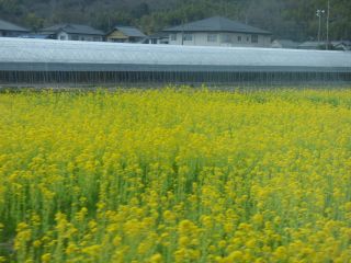 2014年3月6日 ぐるぐるのち、桜家_b0098584_2214712.jpg