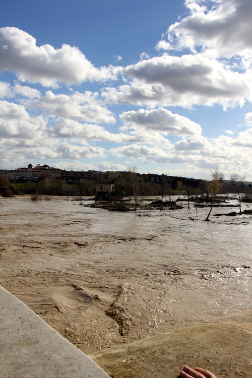 b0142688_21353779.jpg