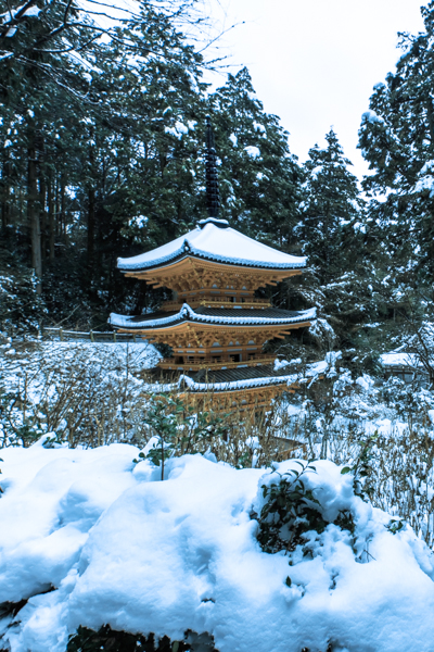 岩船寺_e0051888_17293319.jpg