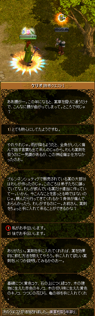 Red Stone 薬師 Lv1 薬草を掘る年寄り Lv1 箱庭の物見窓