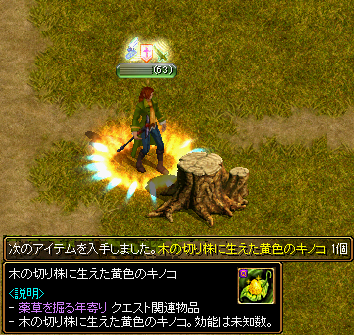 Red Stone 薬師 Lv1 薬草を掘る年寄り Lv1 箱庭の物見窓