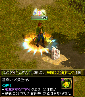 Red Stone 薬師 Lv1 薬草を掘る年寄り Lv1 箱庭の物見窓