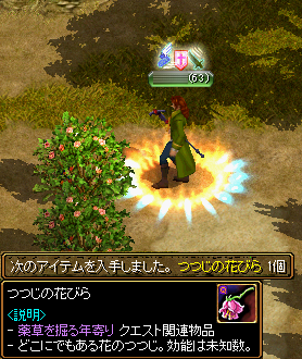 Red Stone 薬師 Lv1 薬草を掘る年寄り Lv1 箱庭の物見窓