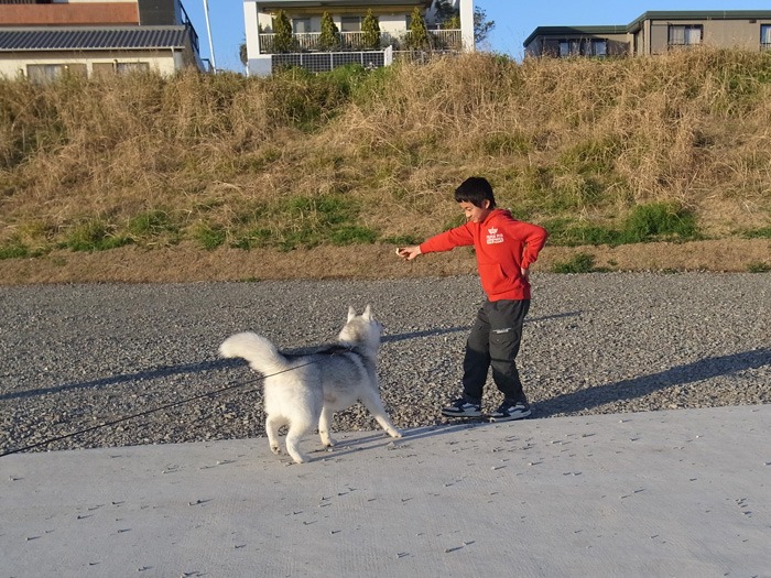 ねねちゃん、サクラちゃん、おにいちゃん_c0049299_21532912.jpg