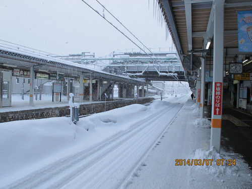 ７時３７分の新幹線で東京へ、３月７日（１）_c0075701_20523565.jpg