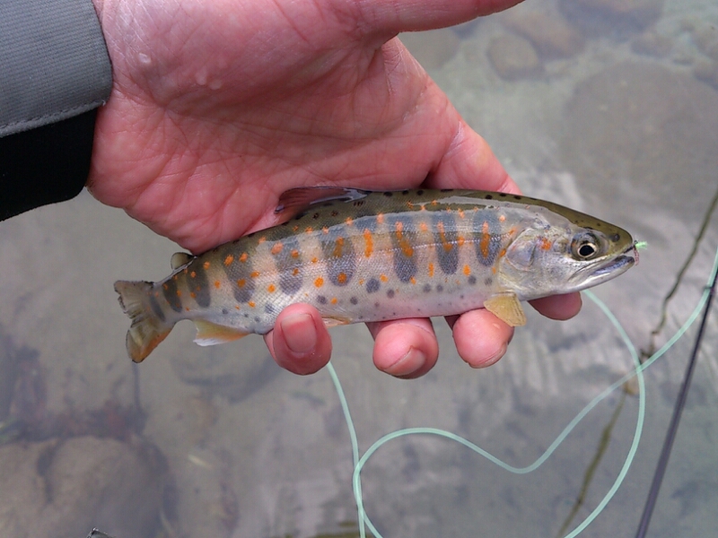f0266202_20121995.jpg