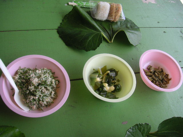 e0192203_1193926.jpg