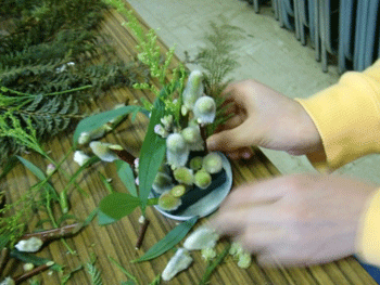 b0126307_1795278.gif