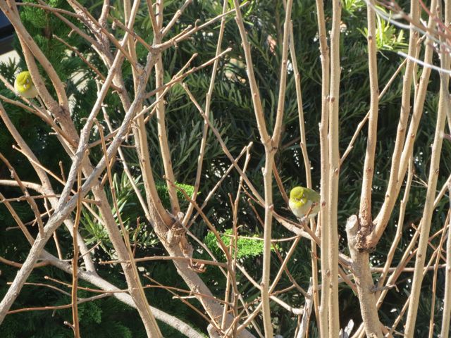 f0024708_3301981.jpg
