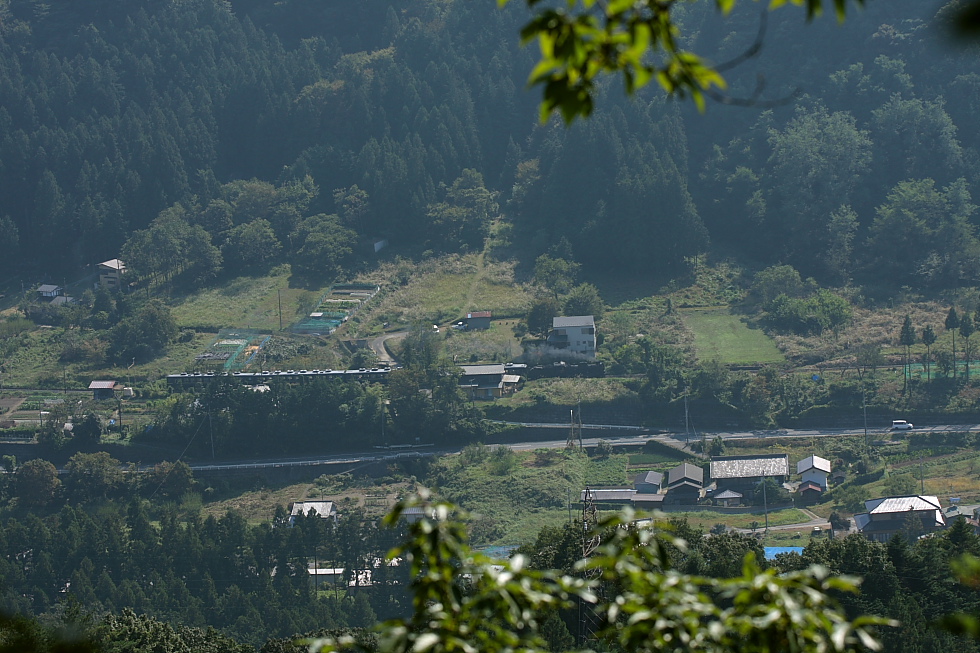 緑の山道 - 2011年・秩父 - _b0190710_23374437.jpg
