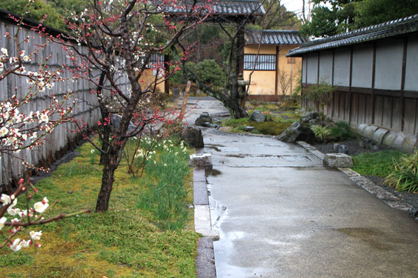 渉成園2 梅花_e0048413_2122587.jpg