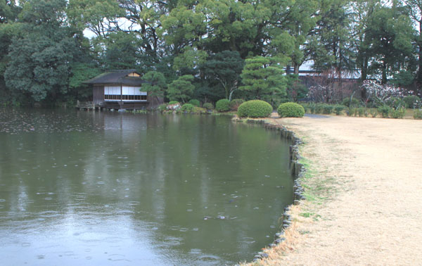 渉成園2 梅花_e0048413_2123784.jpg
