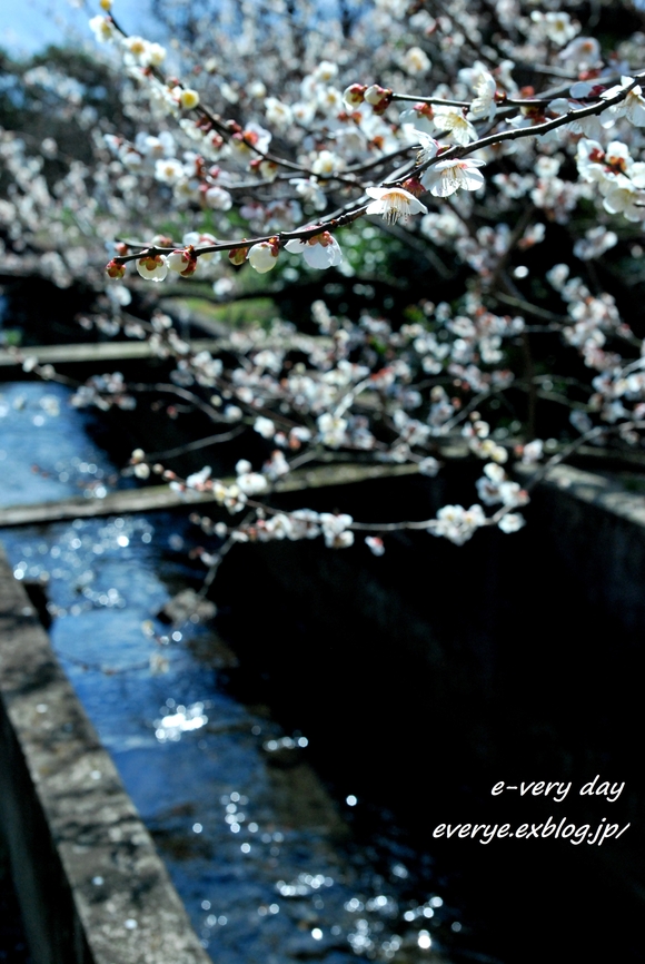 f0200114_1635895.jpg