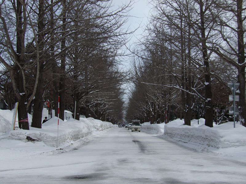 行きつ戻りつ_c0025115_17271254.jpg